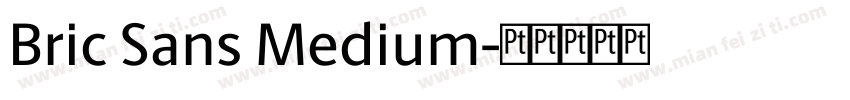 Bric Sans Medium字体转换